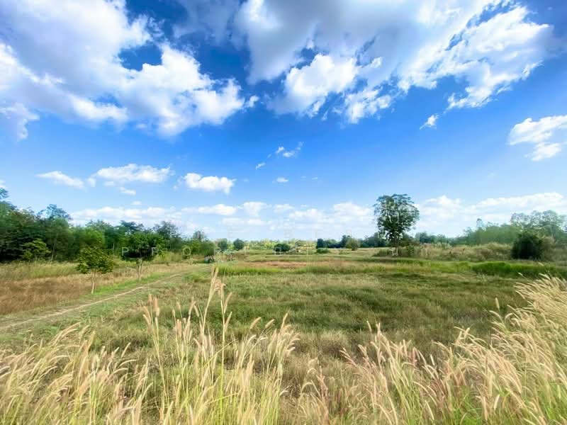 ที่ดินสำราญ ขอนแก่น, ขอนแก่น, สำราญ, เมืองขอนแก่น, ขอนแก่น, 8,000 ตร.ม., ที่ดิน ขาย, โดย The Best Property นก, 500372200 - DDproperty.com
