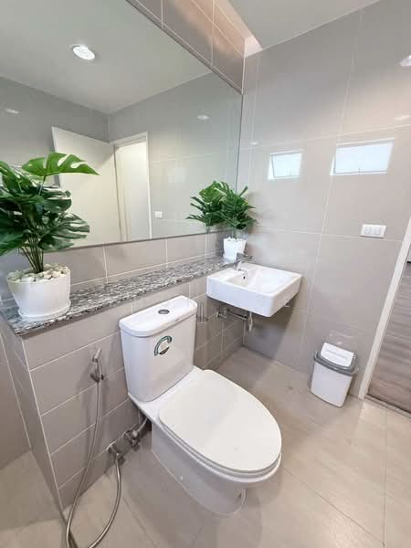Townhome for rent in Watcharapol Saimai ( SPSEVE2017 ), Bangkok, พหลโยธิน 50 แยก 11, Khlong Tanon, Sai Mai, Bangkok, 3 Bedrooms, 250 sqm, Townhouse For Rent, by Khun Eve, 500372227 - DDproperty.com