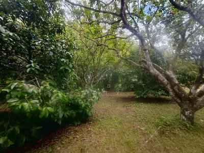 ขาย - ที่ดินเขาคิชฌกูฏ จันทบุรี, จันทบุรี