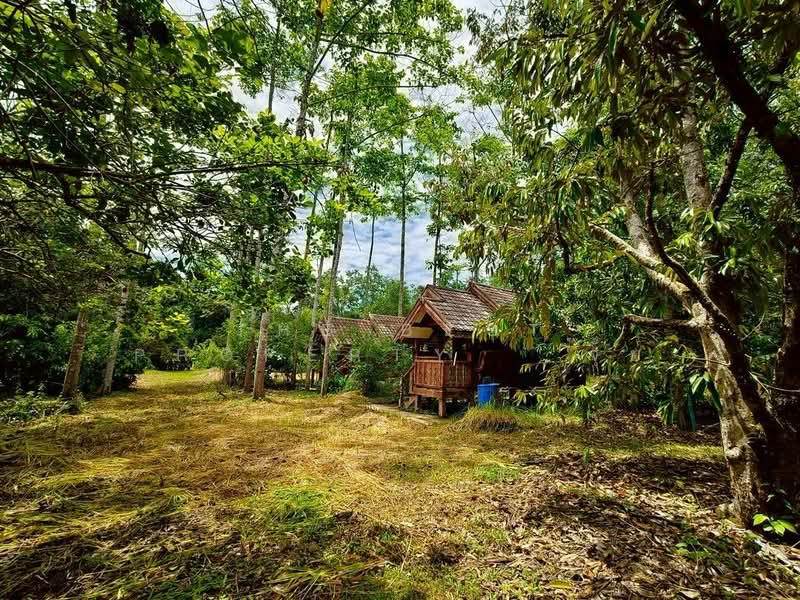 ที่ดินเขาคิชฌกูฏ จันทบุรี, Chanthaburi, Khlong Plu, Kao Kichakut, Chanthaburi, , 21,132 sqm, Land For Sale, by The Best Property จุ้ย, 500372256 - DDproperty.com