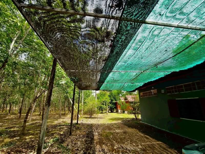 ที่ดินเขาคิชฌกูฏ จันทบุรี, Chanthaburi, Khlong Plu, Kao Kichakut, Chanthaburi, , 21,132 sqm, Land For Sale, by The Best Property จุ้ย, 500372256 - DDproperty.com