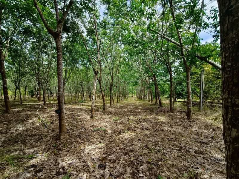 ที่ดินเขาคิชฌกูฏ จันทบุรี, Chanthaburi, Khlong Plu, Kao Kichakut, Chanthaburi, , 21,132 sqm, Land For Sale, by The Best Property จุ้ย, 500372256 - DDproperty.com