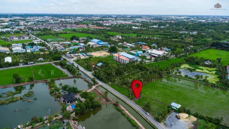 ขายด่วน! ที่ดินติดถนน 1 ไร่ 47 ตร.วา หน้ากว้างติดถนนถึง 120 เมตร, นครปฐม, บางกระทึก, สามพราน, นครปฐม, 1,788 ตร.ม., ที่ดิน ขาย, โดย คุณโอห์ม, 500372266 - DDproperty.com
