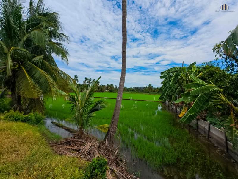 ขายด่วน! ที่ดินติดถนน 1 ไร่ 47 ตร.วา หน้ากว้างติดถนนถึง 120 เมตร, นครปฐม, บางกระทึก, สามพราน, นครปฐม, 1,788 ตร.ม., ที่ดิน ขาย, โดย คุณโอห์ม, 500372266 - DDproperty.com
