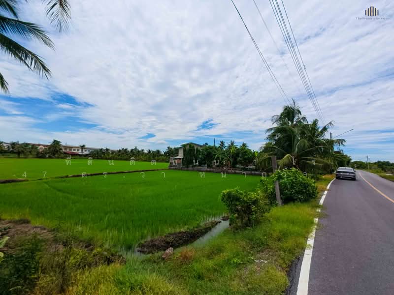 Beautiful Title Deed Plot of Land (1 Rai 47 sq. wah) Features an extra-wide 120-meter road frontage, Nakhon Pathom, Bang Krathuk, Sam Phran, Nakhon Pathom, , 1,788 sqm, Land For Sale, by คุณโอห์ม, 500372266 - DDproperty.com
