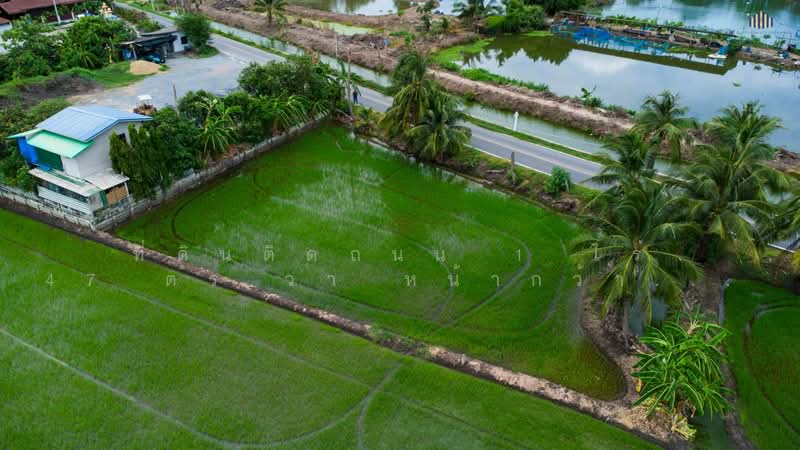 บางกระทึก, นครปฐม, บางกระทึก, สามพราน, นครปฐม, 1,788 ตร.ม., ที่ดิน ขาย, โดย ที่ดินติดถนน 1 ไร่ 47 ตร.วา หน้ากว้างติดถนนถึง 120 เมตร, 500372266 - DDproperty.com