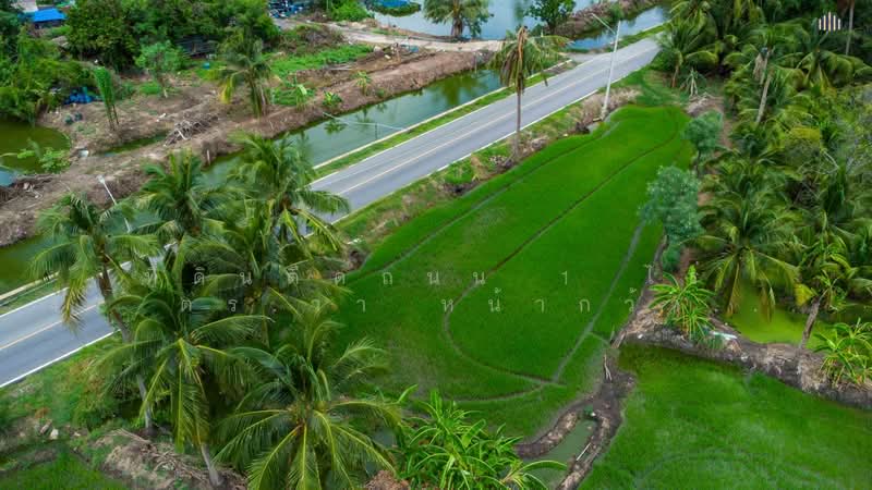 Beautiful Title Deed Plot of Land (1 Rai 47 sq. wah) Features an extra-wide 120-meter road frontage, Nakhon Pathom, Bang Krathuk, Sam Phran, Nakhon Pathom, , 1,788 sqm, Land For Sale, by คุณโอห์ม, 500372266 - DDproperty.com