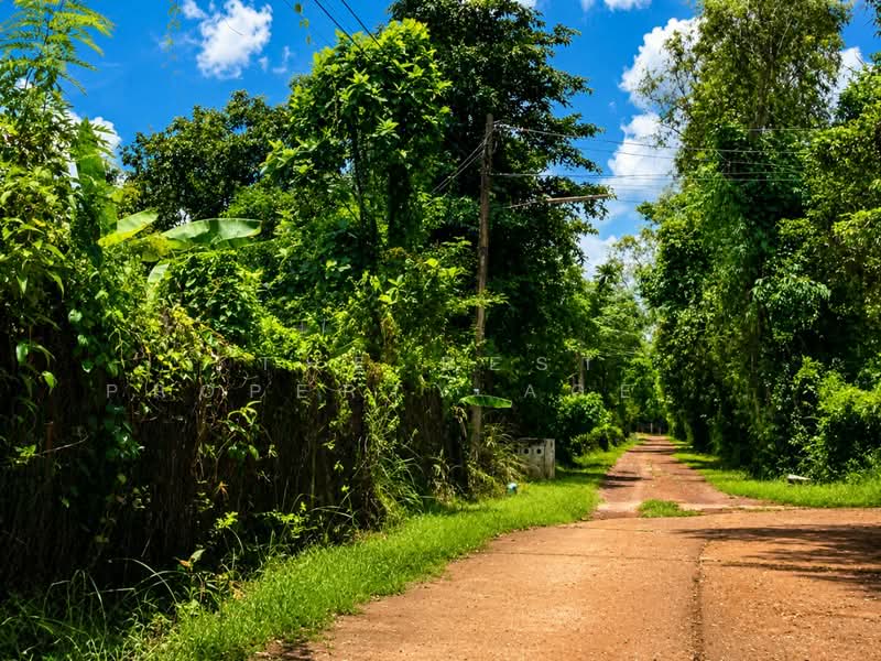 ที่ดินกุรุคุ นครพนม, Nakhon Phanom, Guruku, Muang Nakhon Phanom, Nakhon Phanom, , 852 sqm, Land For Sale, by The Best Property Agent แมว, 500372272 - DDproperty.com