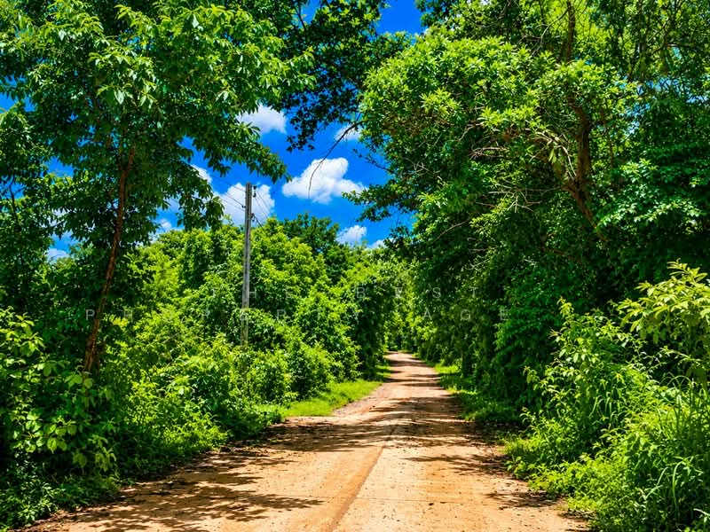 ที่ดินกุรุคุ นครพนม, Nakhon Phanom, Guruku, Muang Nakhon Phanom, Nakhon Phanom, , 852 sqm, Land For Sale, by The Best Property Agent แมว, 500372272 - DDproperty.com