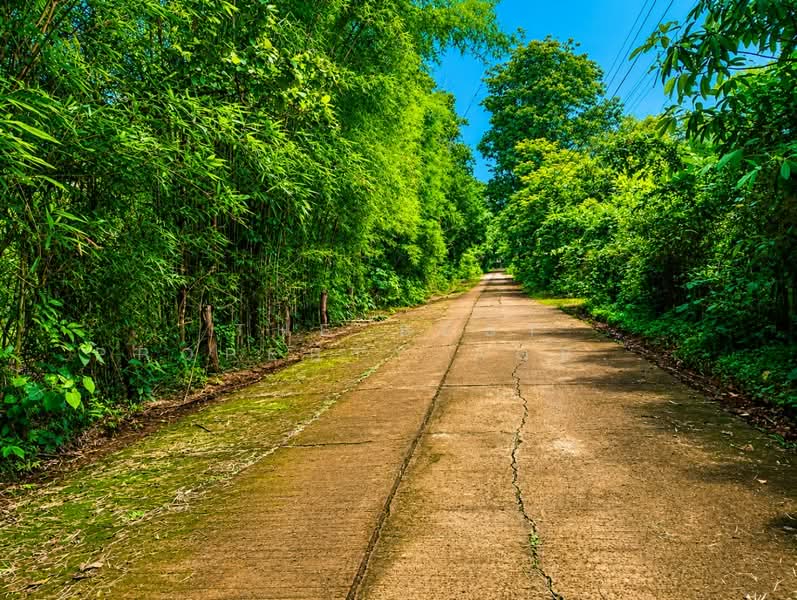 ที่ดินกุรุคุ นครพนม, นครพนม, กุรุคุ, เมืองนครพนม, นครพนม, 852 ตร.ม., ที่ดิน ขาย, โดย The Best Property Agent แมว, 500372272 - DDproperty.com