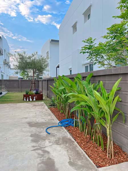 Palm Ville Khuang Sing Intersection-Chotana Rd, Chiang Mai, Chotana Road, Chang Phuak, Muang Chiang Mai, Chiang Mai, 4 Bedrooms, 250 sqm, Single Detached House For Sale, by อรกัญญา สายวังกิจ, 500372312 - DDproperty.com