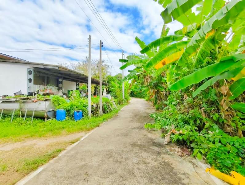 บ้านเดี่ยวพร้อมที่ดินบ้านโป่ง ราชบุรี, ราชบุรี, เบิกไพร, บ้านโป่ง, ราชบุรี, 120 ตร.ม., บ้านเดี่ยว ขาย, โดย The Best Property โอ็ต, 500372335 - DDproperty.com
