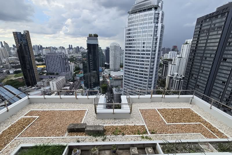 Siri At Sukhumvit, Bangkok, 902 Sukhumvit Road, Phra Kanong, Khlong Toei, Bangkok, 3 Bedrooms, 114 sqm, Condo For Sale, by Ailada Ngamsri, 500372362 - DDproperty.com