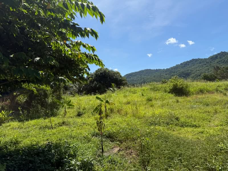 ที่ดินหนองข้างคอก ชลบุรี, Chon Buri (Pattaya), Nong Khang Khok, Muang Chon Buri, Chon Buri (Pattaya), , 1,200 sqm, Land For Sale, by The Best Property ยุ้ย, 500372396 - DDproperty.com