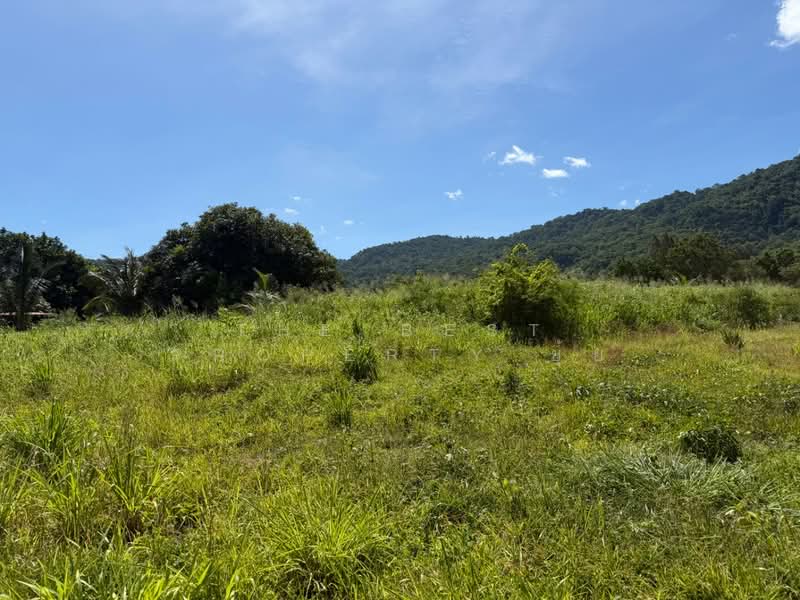 ที่ดินหนองข้างคอก ชลบุรี, Chon Buri (Pattaya), Nong Khang Khok, Muang Chon Buri, Chon Buri (Pattaya), , 1,200 sqm, Land For Sale, by The Best Property ยุ้ย, 500372396 - DDproperty.com