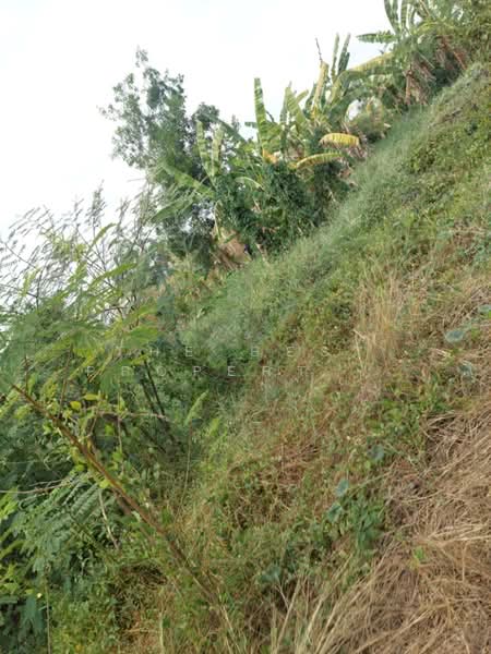 ที่ดินองครักษ์ นครนายก, Nakhon Nayok, Bung San, Ongkharak, Nakhon Nayok, , 480 sqm, Land For Sale, by The Best Property Agent วรรณ, 500372421 - DDproperty.com