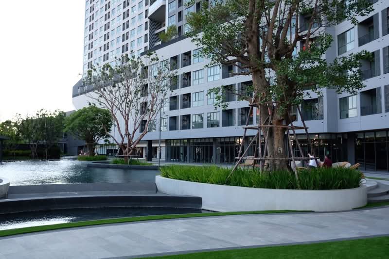 IDEO O2 บางนา, กรุงเทพ, 195 ถนนสรรพาวุธ, บางนาใต้, บางนา, กรุงเทพ, 34 ตร.ม., คอนโด ให้เช่า, โดย ศิริพร ตานวล, 500372441 - DDproperty.com