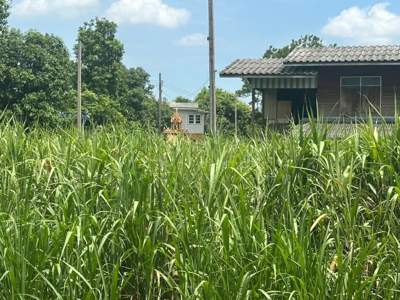 ที่ดินบางใหญ่ นนทบุรี, Nonthaburi, Bang Yai, Bang Yai, Nonthaburi, , 3,628 sqm, Land For Sale, by The Best Property รักษ์, 500372467 - DDproperty.com