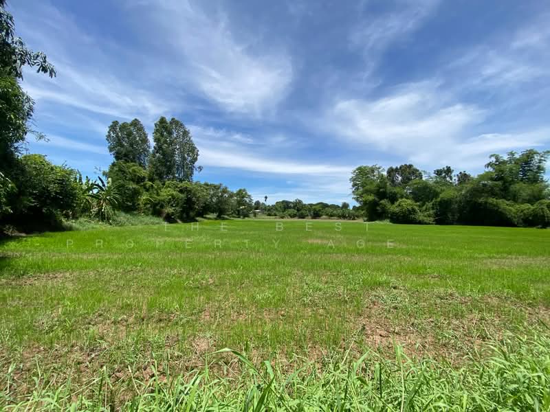 ที่ดินสำราญ ขอนแก่น, Khon Kaen, Samran, Muang Khon Kaen, Khon Kaen, , 3,328 sqm, Land For Sale, by The Best Property Agent นก, 500372523 - DDproperty.com