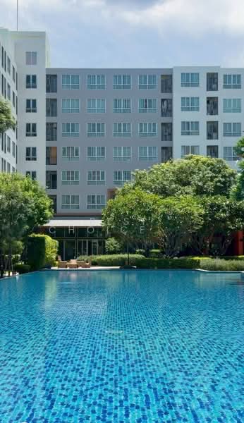 Dcondo Nim : ดีคอนโด นิม, เชียงใหม่, 239 ถนนซุปเปอร์ไฮเวย์ เชียงใหม่-ลำปาง, ฟ้าฮ่าม, เมืองเชียงใหม่, เชียงใหม่, 37 ตร.ม., คอนโด ขาย, โดย Best Choice Property, 500372525 - DDproperty.com