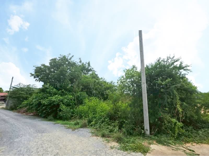 ที่ดินใกล้ถนนม้าสีหมอก ตำบลท่าพี่เลี้ยง, Suphan Buri, Tha Pi Liang, Muang Suphanburi, Suphan Buri, , 800 sqm, Land For Sale, by HOMEPLUS REALTY - คุณฟ้า, 500372625 - DDproperty.com