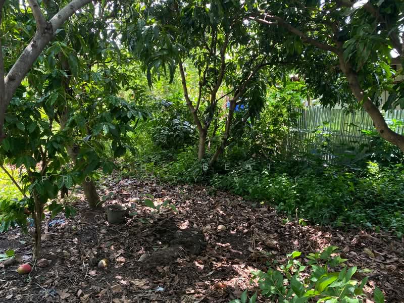 ที่ดินพร้อมสิ่งปลูกสร้างชุมพวง นครราชสีมา, Nakhon Ratchasima, Chum Phuang, Nakhon Ratchasima, , 976 sqm, Land For Sale, by The Best Property จุ๋ม (รหัสตัวแทน 4004) Line ID :, 500372851 - DDproperty.com