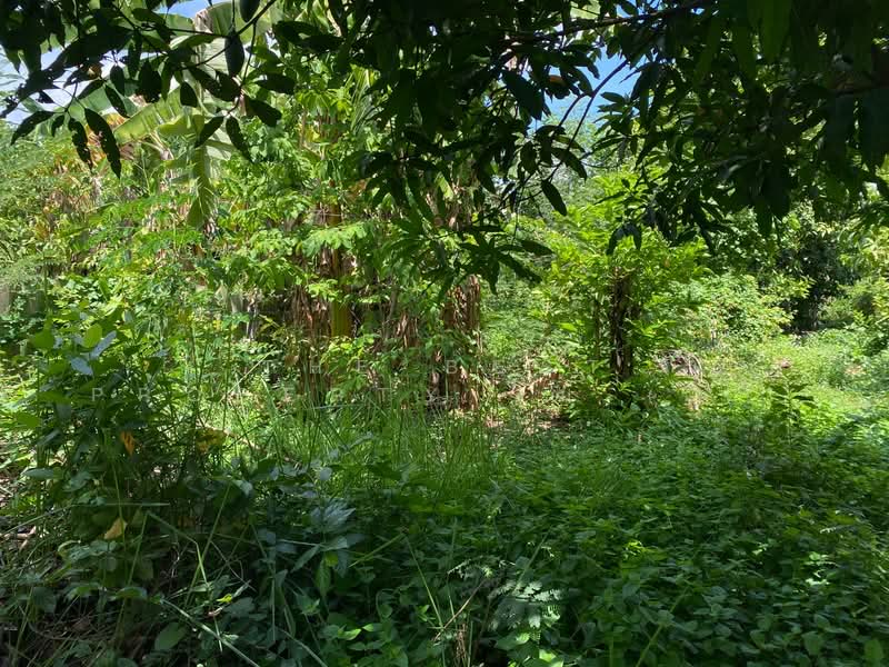 ที่ดินพร้อมสิ่งปลูกสร้างชุมพวง นครราชสีมา, Nakhon Ratchasima, Chum Phuang, Nakhon Ratchasima, , 976 sqm, Land For Sale, by The Best Property จุ๋ม (รหัสตัวแทน 4004) Line ID :, 500372851 - DDproperty.com