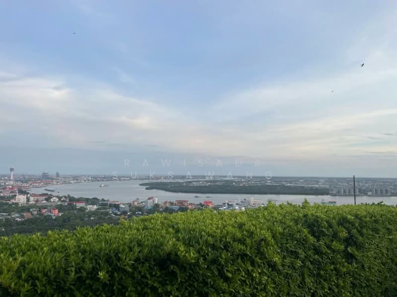 Aspire Erawan, Samut Prakan, Sukhumvit, Pak Nam, Muang Samut Prakarn, Samut Prakan, 1 Bedroom, 31 sqm, Condo For Rent, by RAWISADA SUKSAWANG, 500372870 - DDproperty.com