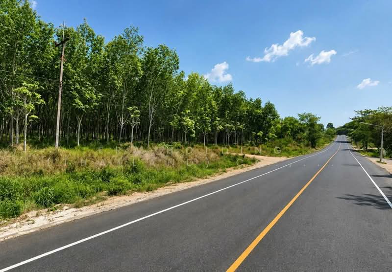 ที่ดินผังม่วงลาย เขต EEC | นิคมพัฒนา ระยอง, Rayong, Nikhom Pattana, Rayong, , 78,288 sqm, Land For Sale, by ERA Holding (Thailand) Co., Ltd., 500373086 - DDproperty.com
