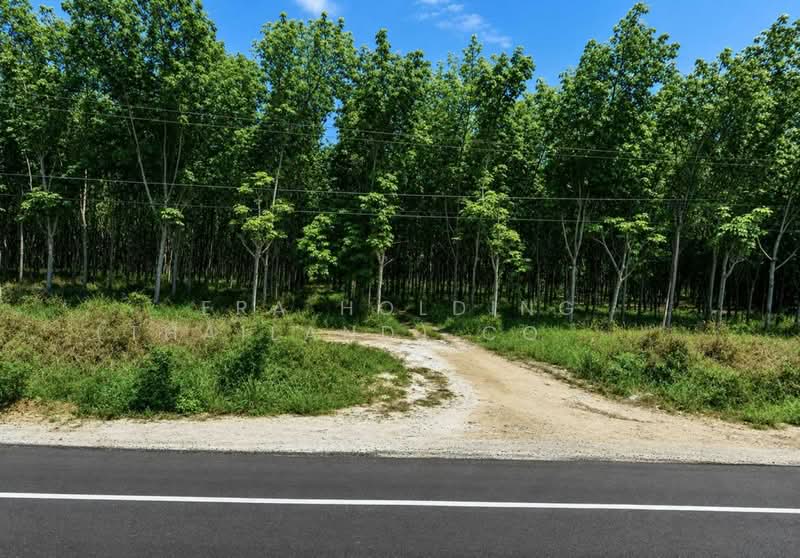 ที่ดินผังม่วงลาย เขต EEC | นิคมพัฒนา ระยอง, Rayong, Nikhom Pattana, Rayong, , 78,288 sqm, Land For Sale, by ERA Holding (Thailand) Co., Ltd., 500373086 - DDproperty.com