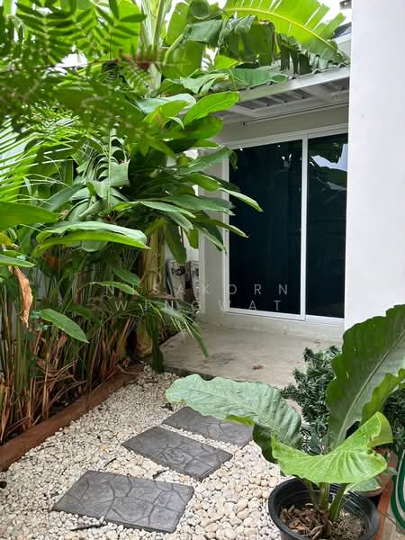 Cher Wongwaen-Sathorn (เฌอ วงแหวน-สาทร), กรุงเทพ, ซอยกาญจนาภิเษก 0010 ถนนกาญจนาภิเษก, บางแค, บางแค, กรุงเทพ, 250 ตร.ม., ทาวน์เฮ้าส์ ให้เช่า, โดย Nisakorn Wingwat, 500373233 - DDproperty.com