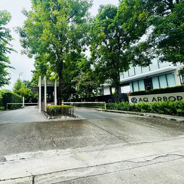AQ ARBOR Suanluang Rama 9-Pattanakarn : เอคิว อาร์เบอร์ สวนหลวง ร.9-พัฒนาการ, กรุงเทพ, ถนนเฉลิมพระเกียรติรัชกาลที่9 ซอย 48, ดอกไม้, ประเวศ, กรุงเทพ, 280 ตร.ม., บ้านเดี่ยว ขาย, โดย AJHOMECENTER - คุณจ๋า, 500373325 - DDproperty.com
