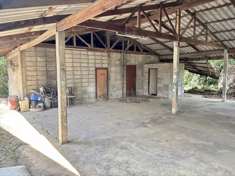 บ้านเดี่ยว 1 ไร่ กำแพงแสน, Nakhon Pathom, Wang Nam Kieo, Kamphaeng Saen, Nakhon Pathom, 4 Bedrooms, 160 sqm, Single Detached House For Sale, by Meechai Kunsan, 500373406 - DDproperty.com
