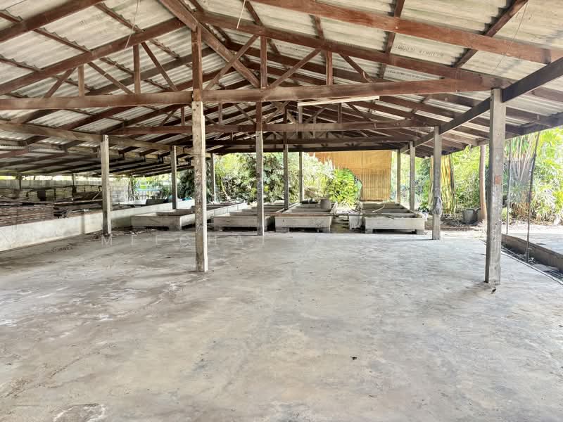 บ้านเดี่ยว 1 ไร่ กำแพงแสน, Nakhon Pathom, Wang Nam Kieo, Kamphaeng Saen, Nakhon Pathom, 4 Bedrooms, 160 sqm, Single Detached House For Sale, by Meechai Kunsan, 500373406 - DDproperty.com