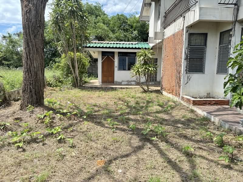บ้านเดี่ยว 1 ไร่ กำแพงแสน, นครปฐม, วังน้ำเขียว, กำแพงแสน, นครปฐม, 160 ตร.ม., บ้านเดี่ยว ขาย, โดย Meechai Kunsan, 500373406 - DDproperty.com