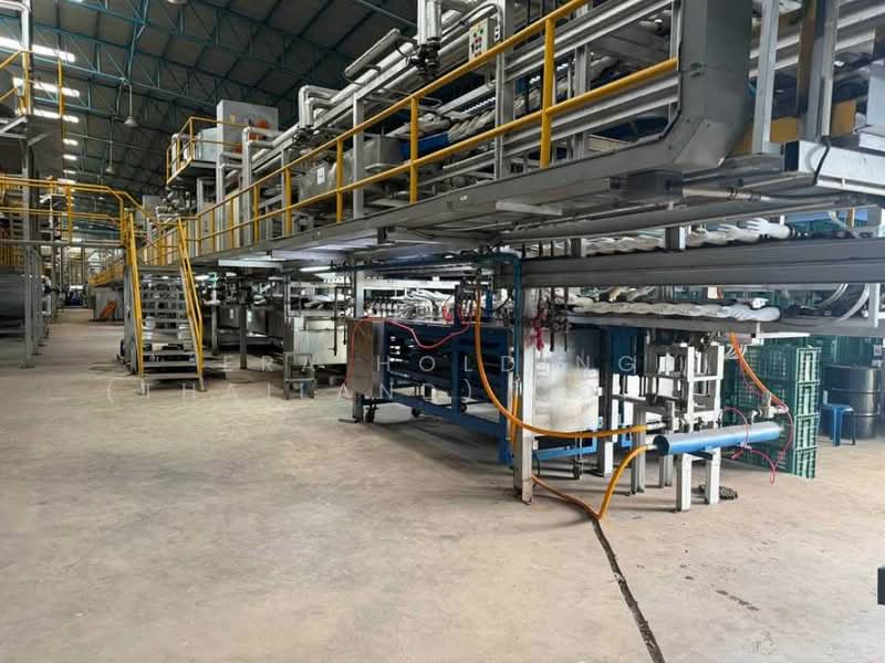 พร้อมโรงงานผลิตถุงมือ ฉะเชิงเทรา, Chachoengsao, Bang Toei, Muang Chachoengsao, Chachoengsao, , 3,000 sqm, Warehouse/Factory For Sale, by ERA Holding (Thailand) Co., Ltd., 500373424 - DDproperty.com