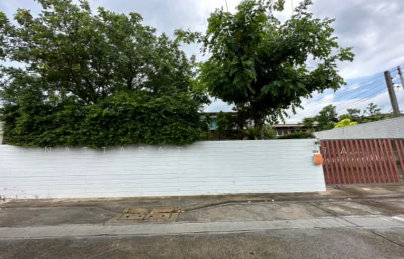 3-BR House, Bangkok, Lat Yao, Chatuchak, Bangkok, 3 Bedrooms, 300 sqm, Single Detached House For Sale, by Nattapat Reunyota, 500373509 - DDproperty.com