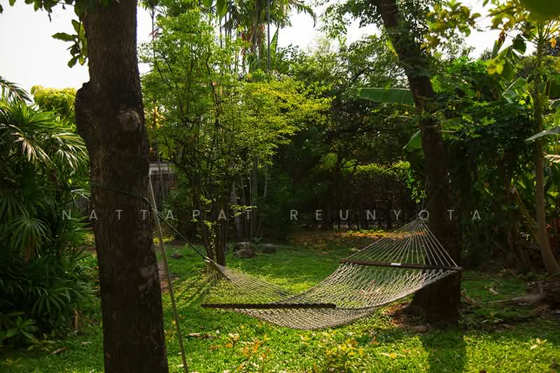3-BR House, Bangkok, Din Daeng, Bangkok, 3 Bedrooms, 4 sqm, Single Detached House For Sale, by Nattapat Reunyota, 500373788 - DDproperty.com