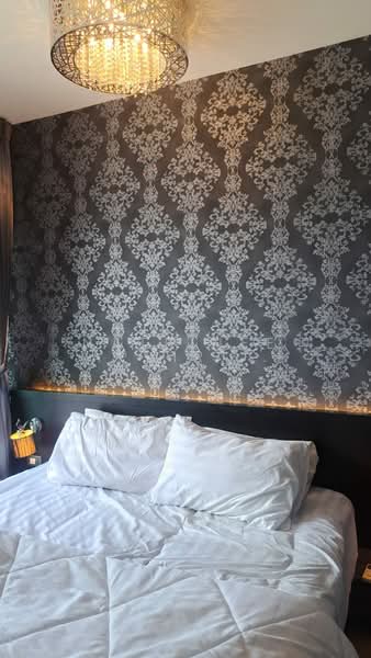 Noble Reveal, Bangkok, 36 Soi Sukhumvit 63, Ekamai Road, Phra Kanong Nua, Watthana, Bangkok, 1 Bedroom, 49 sqm, Condo For Sale, by Natrinee Aphirachatanon, 500373916 - DDproperty.com