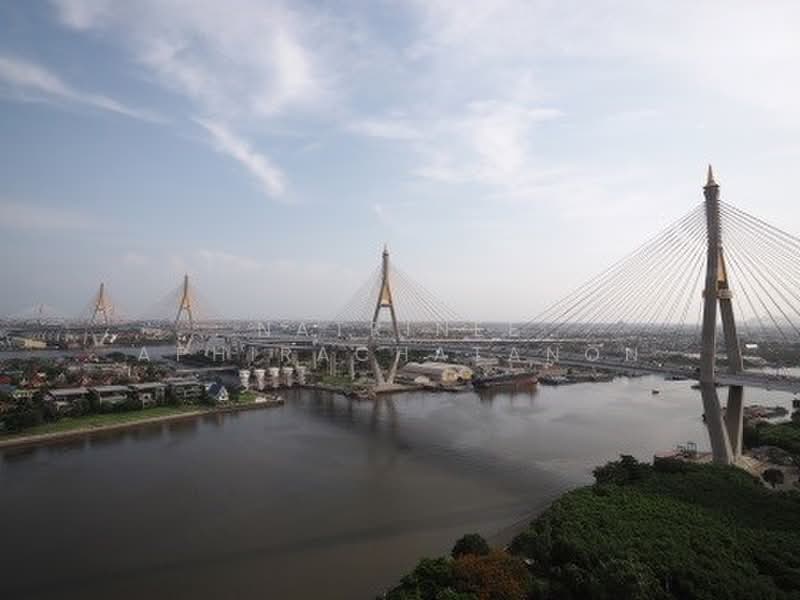 The Pano Rama 3 : เดอะ พาโน พระราม 3, กรุงเทพ, 890 ถนนพระราม 3, บางโพงพาง, ยานนาวา, กรุงเทพ, 223 ตร.ม., คอนโด ให้เช่า, โดย Natrinee Aphirachatanon, 500373958 - DDproperty.com