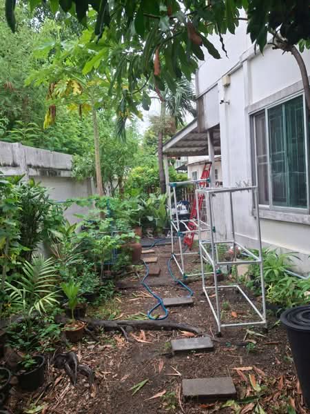 undefined, Bangkok, Samae Dam, Bang Khun Thian, Bangkok, 4 Bedrooms, 130 sqm, Townhouse For Sale, by Supitcha Wongisaraseri, 500374194 - DDproperty.com