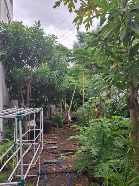 undefined, Bangkok, Samae Dam, Bang Khun Thian, Bangkok, 4 Bedrooms, 130 sqm, Townhouse For Sale, by Supitcha Wongisaraseri, 500374194 - DDproperty.com