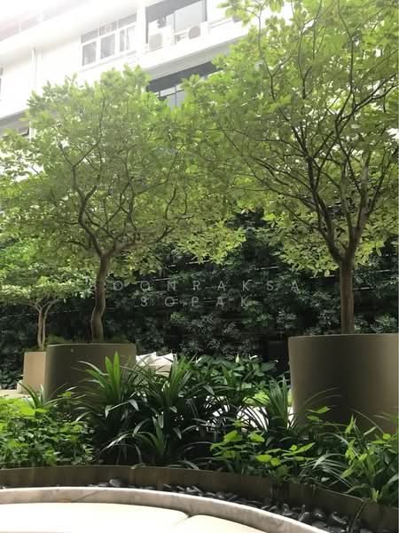 28 Chidlom, Bangkok, 28 Chit Lom Alley, Lumphini, Pathum Wan, Bangkok, 1 Bedroom, 45 sqm, Condo For Rent, by Boonraksa Sopak, 500374326 - DDproperty.com