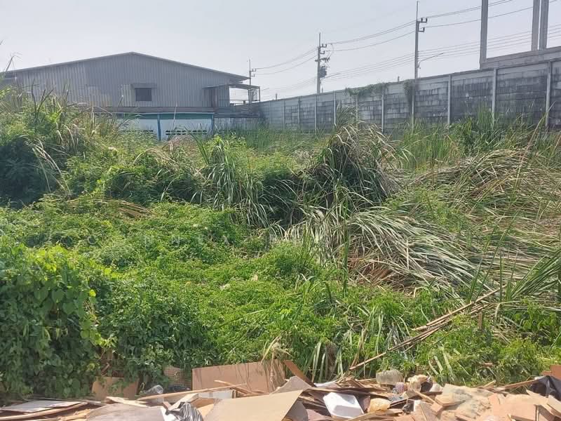 acant Land for Sale in Lam Luk Ka, Pathum Thani, , Lam Luk Ka, Pathum Thani, , 2,532 sqm, Land For Sale, by Connex Property, 500374559 - DDproperty.com