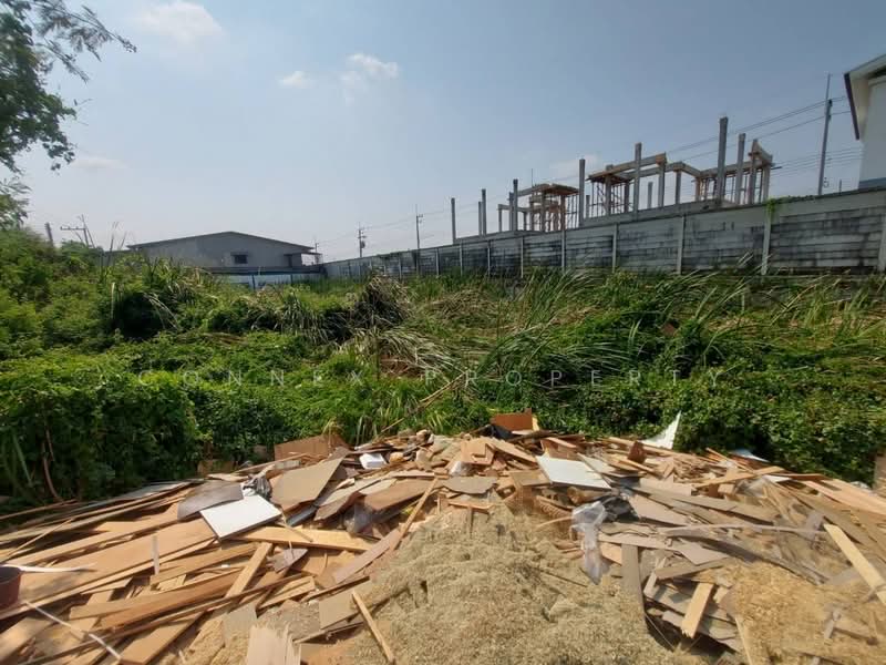acant Land for Sale in Lam Luk Ka, Pathum Thani, , Lam Luk Ka, Pathum Thani, , 2,532 sqm, Land For Sale, by Connex Property, 500374559 - DDproperty.com