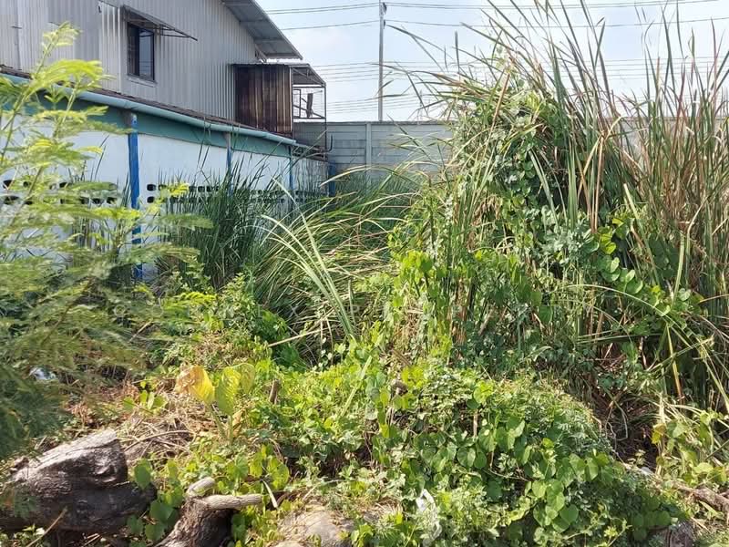 ที่ดินเปล่าลำลูกกา, ปทุมธานี, , ลำลูกกา, ปทุมธานี, 2,532 ตร.ม., ที่ดิน ขาย, โดย Connex Property, 500374559 - DDproperty.com
