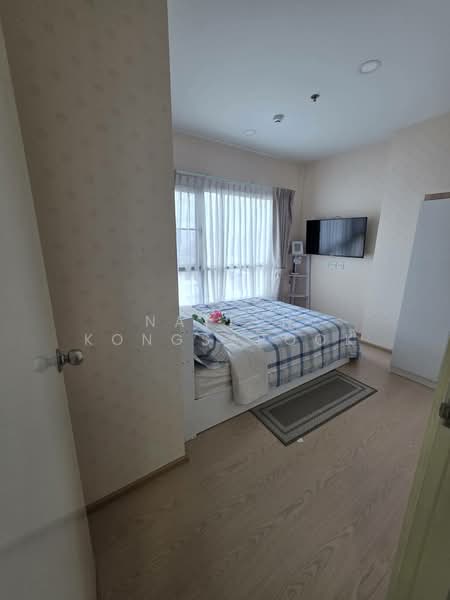 The Tree Sukhumvit 71-Ekamai, Bangkok, 1269 Sukhumvit 71 Road, Suan Luang, Bangkok, 2 Bedrooms, 56 sqm, Condo For Rent, by Natlyn Kongsapook, 500374603 - DDproperty.com