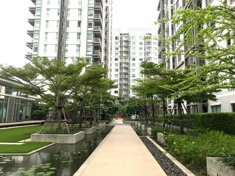 The Room Ratchada-Ladprao, Bangkok, Ladprao Road, Chan Kasem, Chatuchak, Bangkok, 2 Bedrooms, 70 sqm, Condo For Rent, by Kritaphak Khongmueang, 500374830 - DDproperty.com