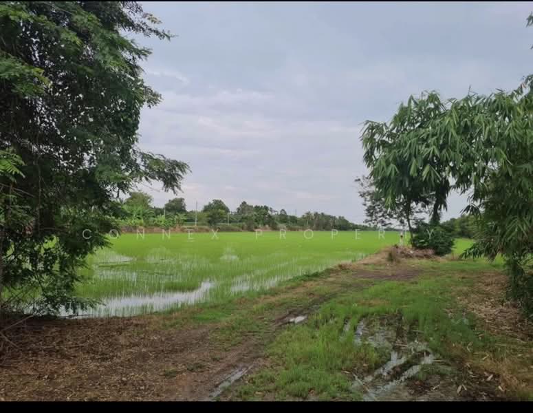 Land, Pathum Thani, , Nong Sam Wang, Nong Sua, Pathum Thani, , 96,000 sqm, Land For Sale, by Connex Property, 500374880 - DDproperty.com