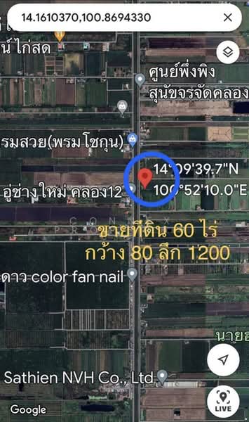 ที่ดินเปล่า หน้ากว้าง หนองสามวัง หนองเสือ ปทุมธานี, ปทุมธานี, , หนองสามวัง, หนองเสือ, ปทุมธานี, 96,000 ตร.ม., ที่ดิน ขาย, โดย Connex Property, 500374880 - DDproperty.com